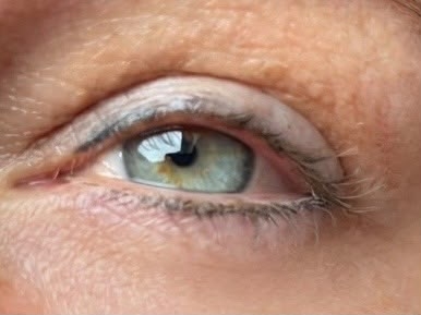 review syrene volume mascara